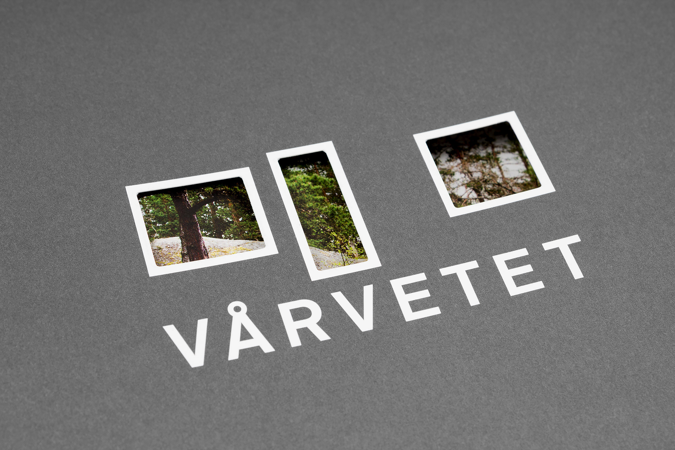 rodolfo_varvetet-180