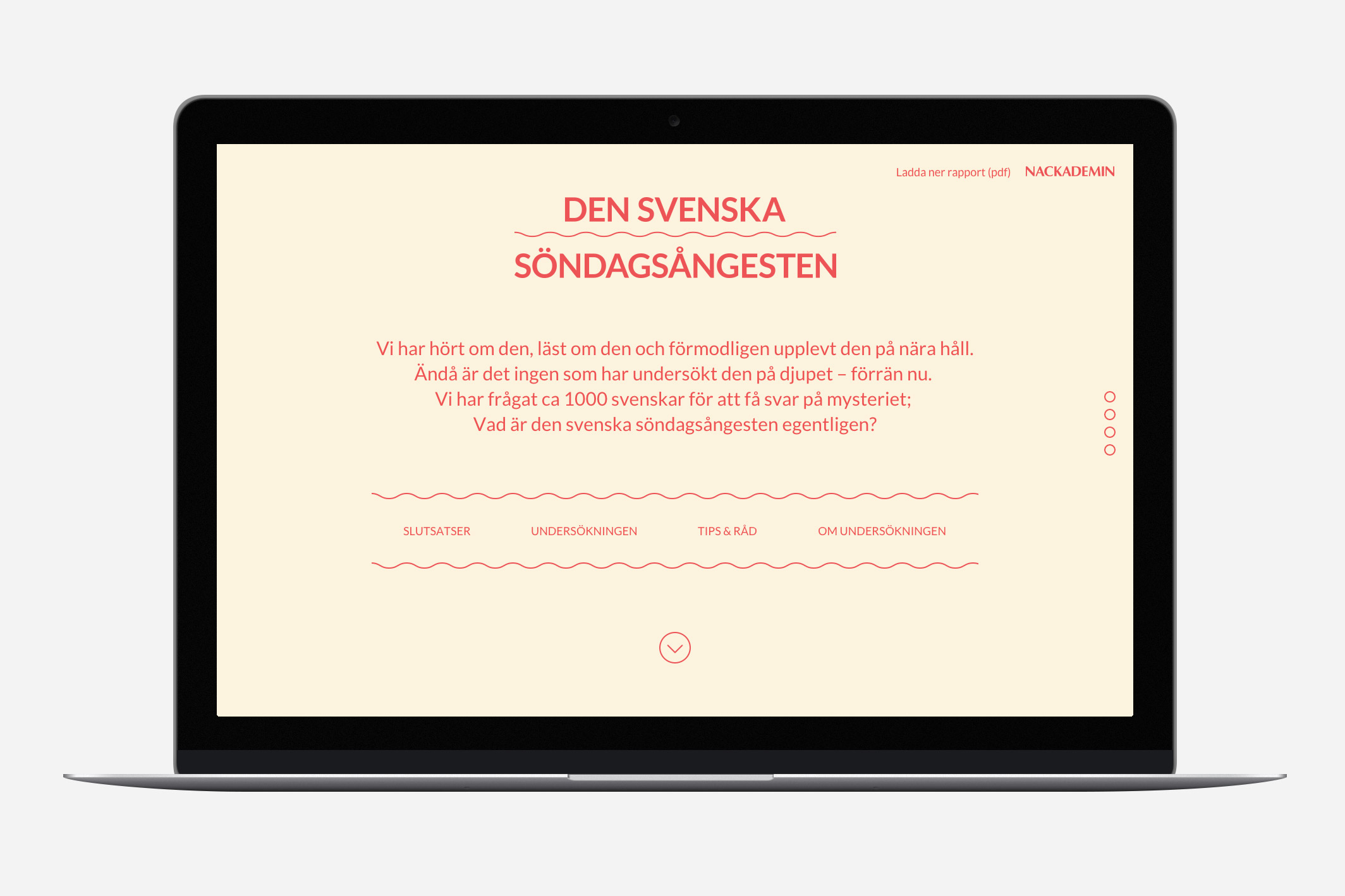sondagsangest_laptop_01_001