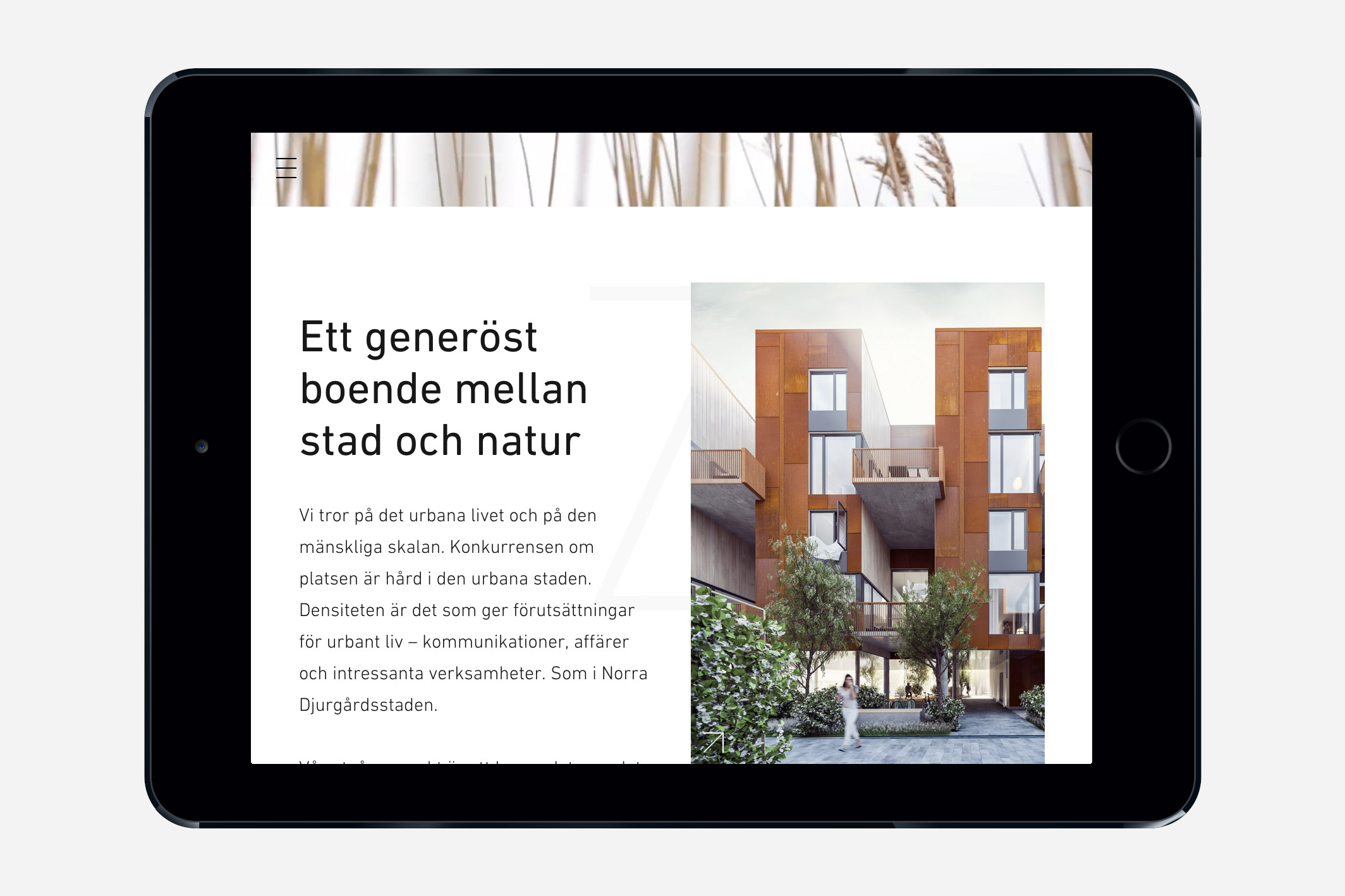 zenhusen_ipad_01_001